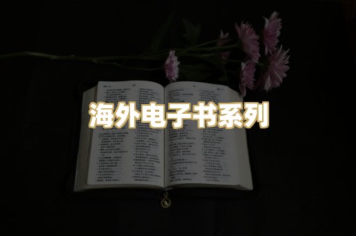 海外电子书系列